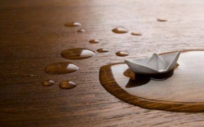 Blog – Armchair Sailor