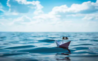 Blog – Pirates on the move