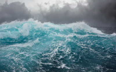 Blog – Seas Building
