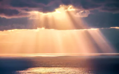 Blog – The Calm after the Storm
